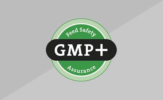 gmp-certifikat